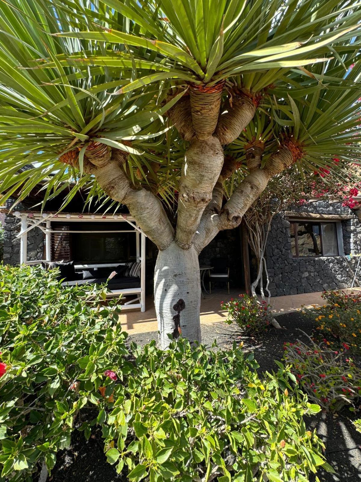 Ferienhaus Castillo III La Asomada (Lanzarote) Exterior foto